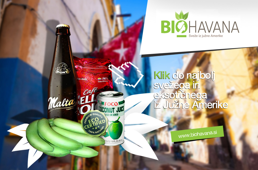 grafično oblikovanje oglasa za spleno stran in oglaševanje