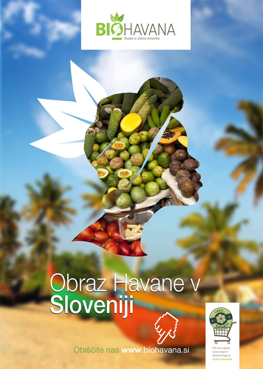 grafično oblikovanje oglasa za spleno stran in oglaševanje